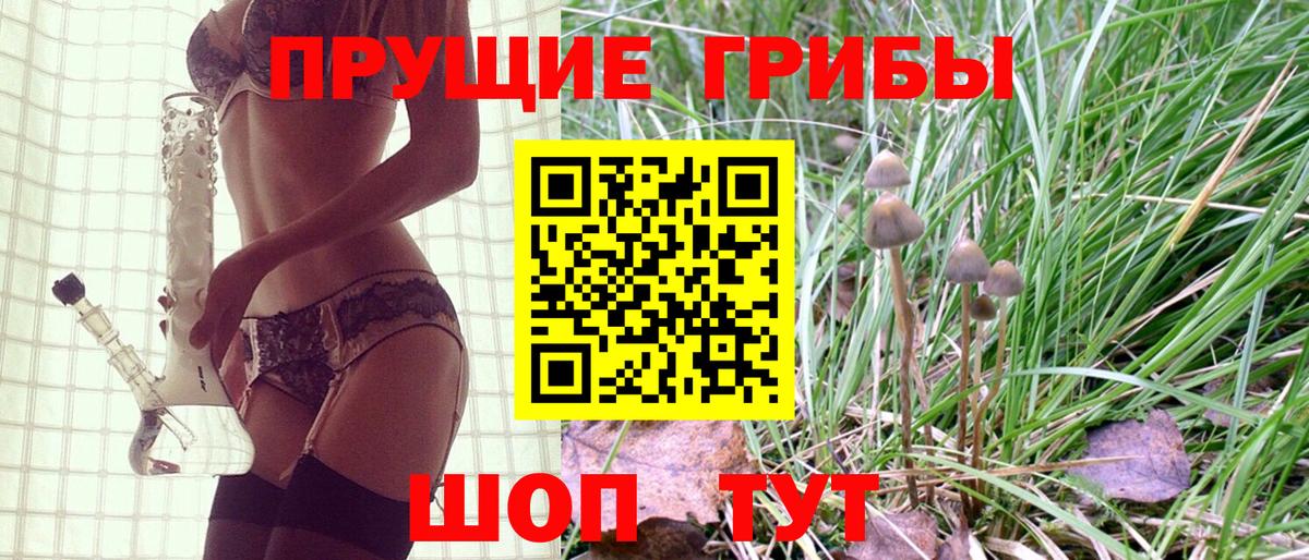 Псилоцибиновые грибы ЛСД  Псилоцибиновые грибы прущие грибы  Куйбышев  Вход с VPN 