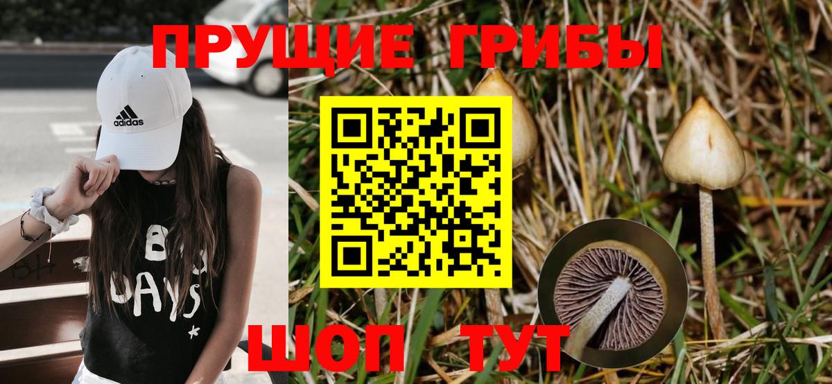 Галлюциногенные грибы мухоморы Куйбышев